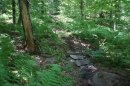 DSC01767