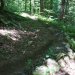 DSC01797