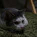 DSC01408