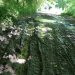 DSC01472