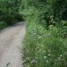 DSC01568