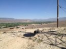 IMG 0479