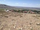 IMG 0485