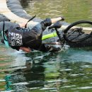 218 views