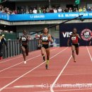 DPP 0535