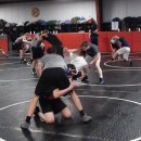 15 views