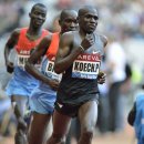 KOECH Paul 12AREVA