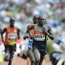 KOECH Paul2 12AREVA