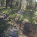 DSC02706