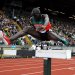 Men's 3000m Steeplechase Updates--2012 London Olympic Games