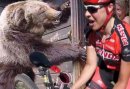 Amanda Carey "Stand off with a BEAR"