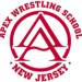 apexlogo9
