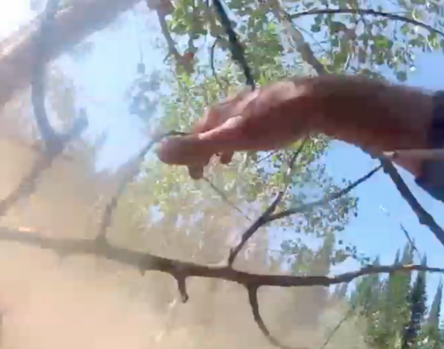 PH100 Camera Man CRASH!