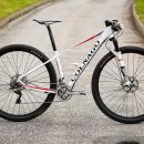 Eva Lechner s Colnago 4211 views
