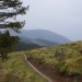 Breck Epic Stage 2: Brief Results and Brief Recap