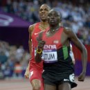 SOLOMON Duane3  800 12OLY KL