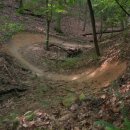 573 views