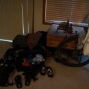 DSC03665
