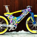 It s too bad Snow Bike DH never caught on.