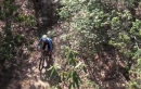 Pisgah Stage Race