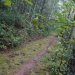 DSC04312