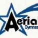 Gymnastike All Access: Aerial Gymnastics (IL)