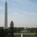IMG 9101