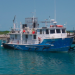 Blue Iguana Charters