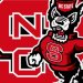 Wolfpack Pick Up Pair