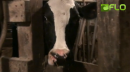 Jody Strittmatter Got Milk?