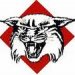 Davidson College Wrestling