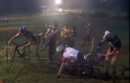 Cat 3 Barrier Belligerence - Night Weasels