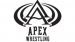 Apex Wrestling School
