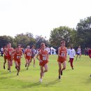 IMG 4217