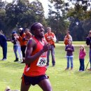 IMG 4291
