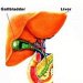 The first signs of a gall bladder attack 