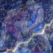 All Star Dual: Setting the Odds 