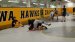 Iowa Practice