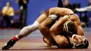 University of Minnesota: David Thorn