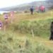 Ulster XC Championships 2012 - Novices and U19 races