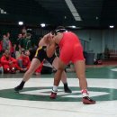 16 views
