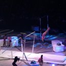 IMG 0550