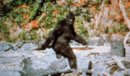 Season Finale! Mad Cow Mo, and Sasquatch Sightings and Run Junkie Ep210
