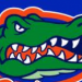 Coverage Photos from Ball State at #3 Florida
