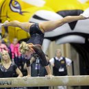 Randy Stageberg of Florida, 2013 NCAA Gymnastics