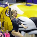 Randy Stageberg of Florida, 2013 NCAA Gymnastics