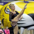 Randy Stageberg of Florida, 2013 NCAA Gymnastics