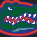 University of Florida Gymnastics 2013