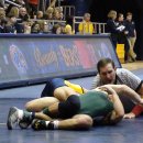 Beauty and the Beast: KSU VS CSU (GOhioCasts)