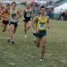 Daring to Dream - The Russell Brown Story